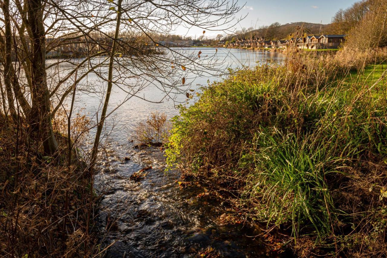 Lakeland Lodge 9B Arnside , Carnforth ,Lancaster , La61Bh エクステリア 写真